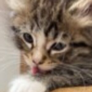 Profile picture of embri